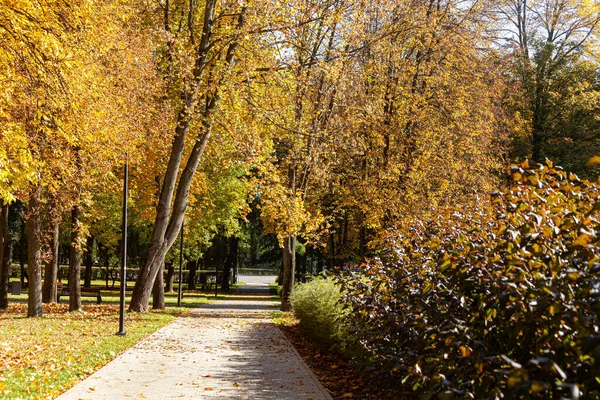 Jesienny Park Słoneczny Dzień Października — Zdjęcie stockowe