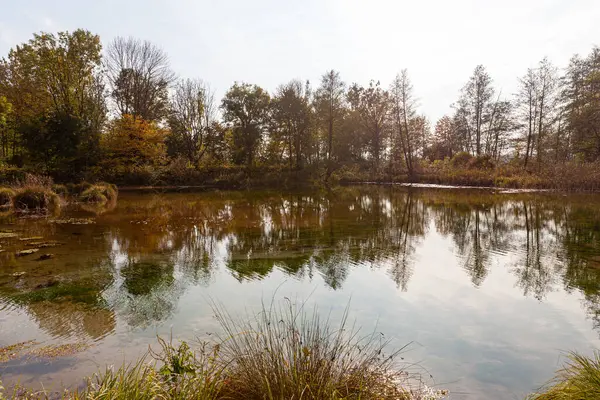 Paysage Par Une Journée Ensoleillée Octobre Bord Lac Pologne — Photo