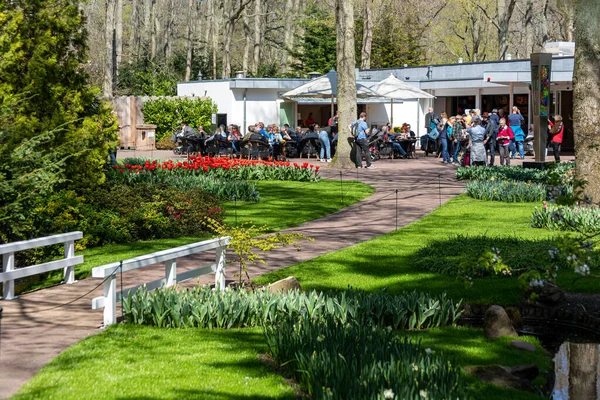 Квітня 2022 Року Ліссе Нідерланди Прекрасний Громадський Сад Весняними Квітами — стокове фото