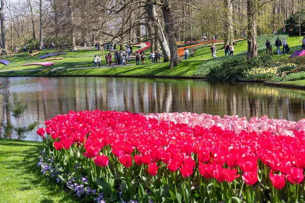 Dubna 2022 Lisse Nizozemsko Krásná Veřejná Zahrada Kvetoucími Jarními Květy — Stock fotografie