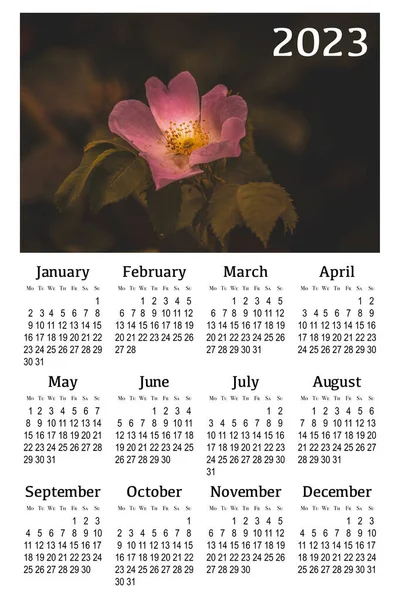 Botanical calendar for 2023. Vertical wall calendar , week starts Monday.