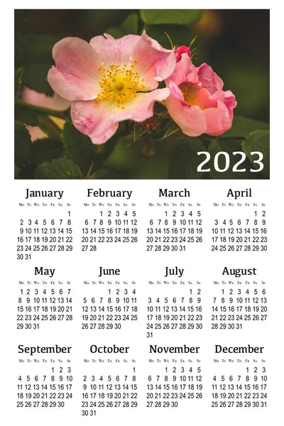 Botanische Kalender Voor 2023 Verticale Wandkalender Week Begint Maandag — Stockfoto