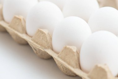 taze yumurta beyaz zemin üzerine karton kutuda