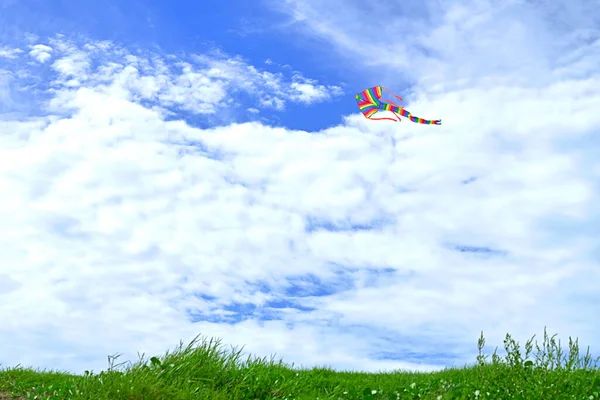 Cometa Arco Iris Volando Cielo Azul Con Campo Hierba Verde — Foto de Stock