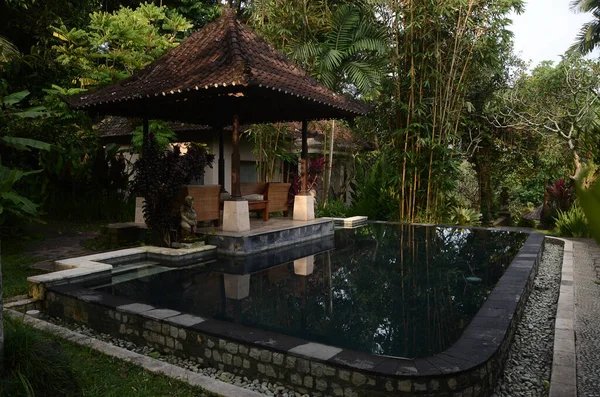 巴厘岛小私人游泳池 周围的绿色热带植物 — 图库照片