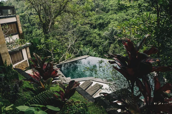 巴厘岛小私人游泳池 周围的绿色热带植物 — 图库照片
