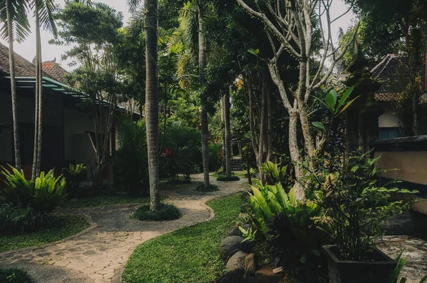 Bali Endonezya 'da rahat bir villanın arka bahçesinde