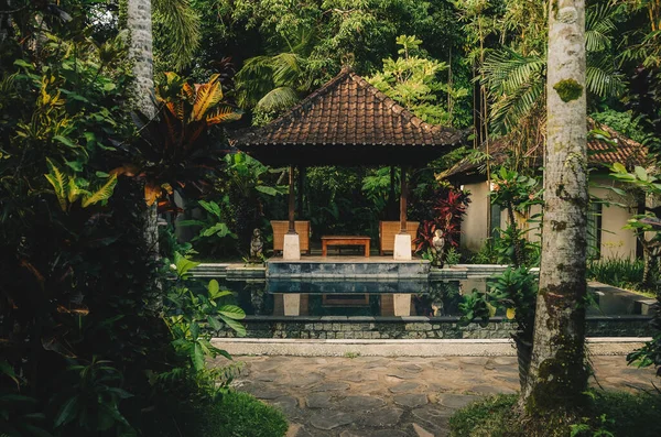Petite Piscine Privée Dans Maison Bali Plantes Tropicales Vertes Autour Images De Stock Libres De Droits