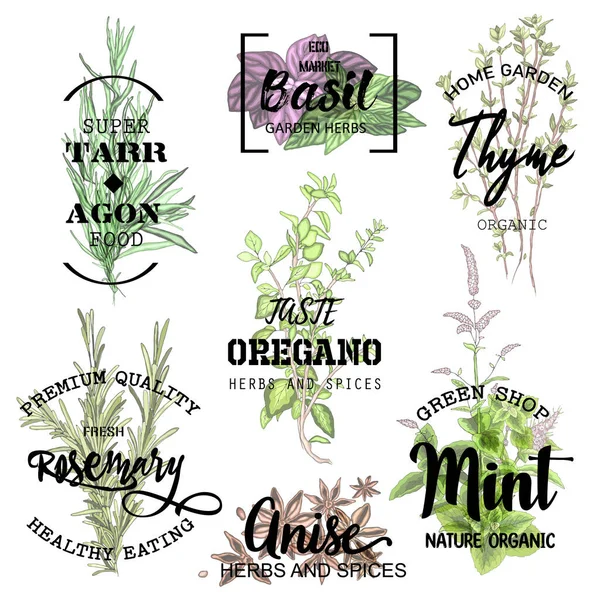 Emblemas Inscrições Alimentos Produtos Saudáveis Orgânicos Naturais Vetor Para Menu — Vetor de Stock