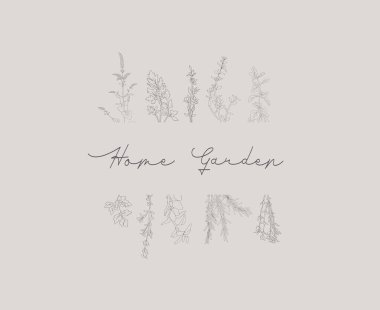 Gri arka planda bitkileri olan bir tasarım. Kapak, defter, kitap, not defteri, kartpostal, davetiye tasarımı için şablon. Hafif arka planda el çizimi olan bir vektör. Modern bir tasvir. Metnin için bir yer.