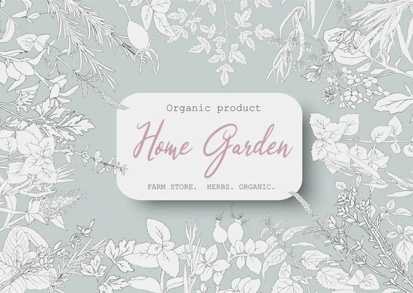 Hafif arka planda bitkileri olan bir tasarım. Kapak, defter, kitap, not defteri, kartpostal, davetiye tasarımı için şablon. Eski tarz bir illüstrasyon. Metnin için bir yer.