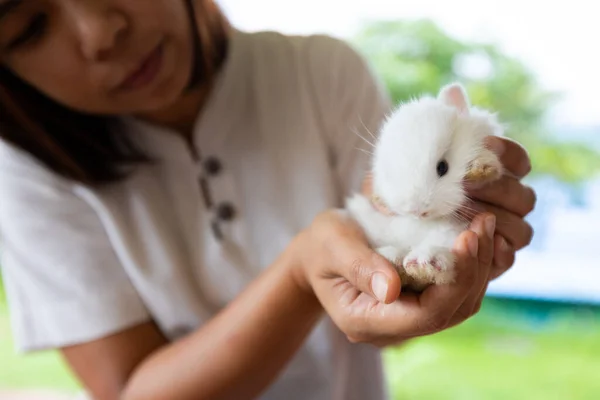 Asian Woman Holding White Baby Bunny Hand Tenderness Friendship Cute — Stock Photo, Image