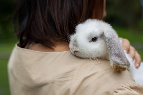 優しさと愛を持ってかわいいウサギを保持し 運ぶアジアの女性 かわいいイースターバニーとの友情 所有者と幸せなウサギ — ストック写真