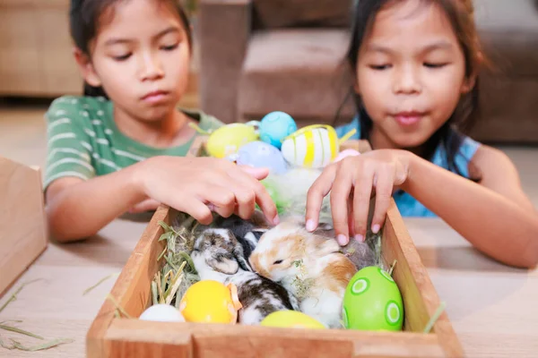 Irmãos Asiáticos Crianças Estão Brincando Com Bebê Coelho Decorando Ovos — Fotografia de Stock