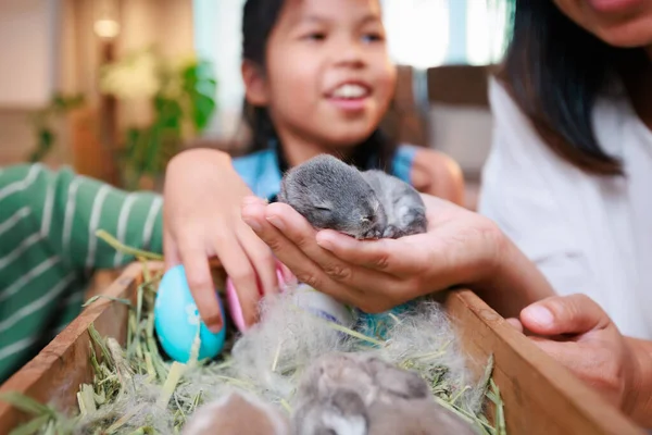 Aziatische Moeder Haar Dochters Spelen Met Baby Konijntje Versieren Paaseieren — Stockfoto