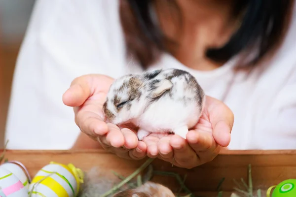 Asian Woman Holding Tiny Bunny Hand Tenderness Love People Take — Stock Photo, Image