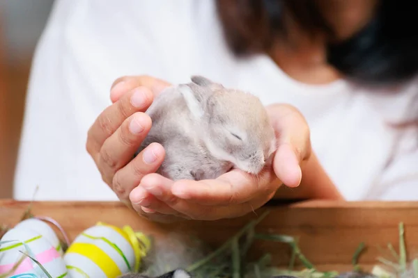 Asian Woman Holding Tiny Bunny Hand Tenderness Love People Take — Stock Photo, Image