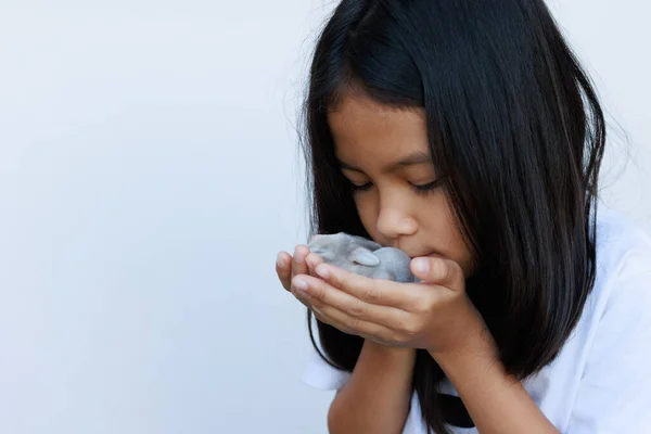 新生児のホランドは子供の手にウサギを持ちます 優しさと愛を持って手に小さなウサギを保持するアジアの女の子 ペットの世話をする 動物の概念の新しい生活 — ストック写真