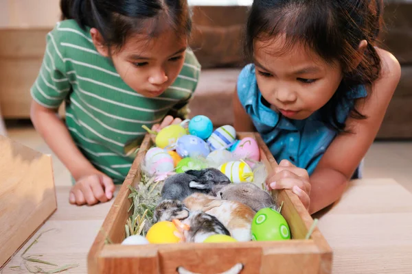 Los Hermanos Asiáticos Niños Están Jugando Con Conejito Bebé Decorando —  Fotos de Stock