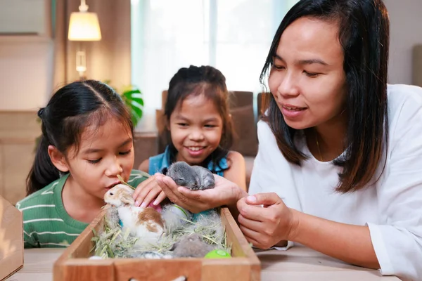 Mãe Asiática Suas Filhas Estão Brincando Com Bebê Coelho Decorando — Fotografia de Stock