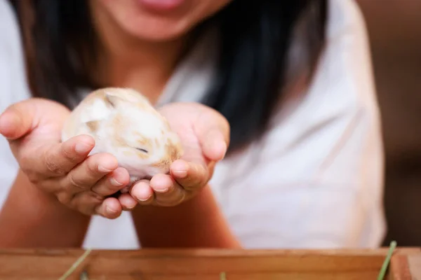 Aziatische Vrouw Met Klein Konijntje Hand Met Tederheid Liefde Mensen Stockafbeelding