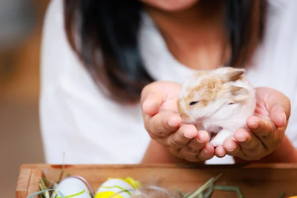 Aziatische Vrouw Met Klein Konijntje Hand Met Tederheid Liefde Mensen Rechtenvrije Stockafbeeldingen