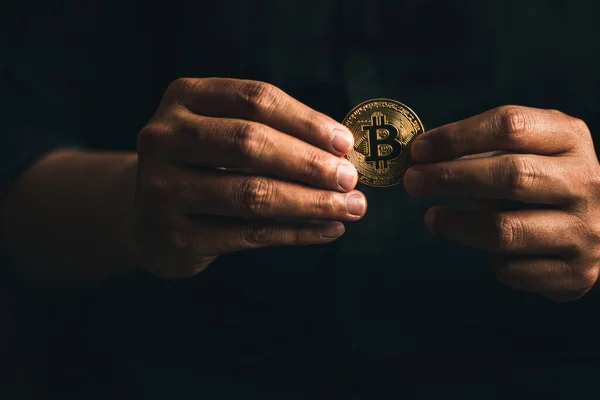 Kripto altın orospular. Bitcoin 'i elinde tutan işletmeler fiyatları yükseltir.