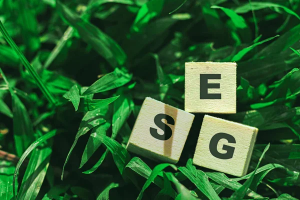 Çevresel, sosyal ve yönetim kavramı ve E-S-G-sözcüğüyle tahta bloğu. Şirketlerin ve ülkelerin sürdürülebilirliği ile ne kadar ilerledikleri hakkında değerlendirme yapmak.