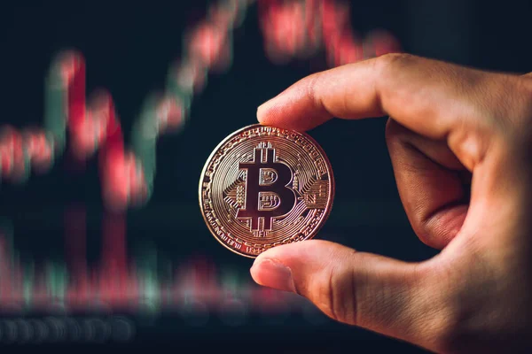 Kripto altın orospular. el ele tutuşan altın bitcoin - ticaret ağı ve uluslararası ağ ödemeleri için sanal grafik. 