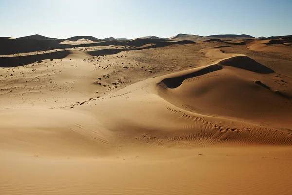 Sand dunes in desert landscape of Namib — Stock Photo, Image