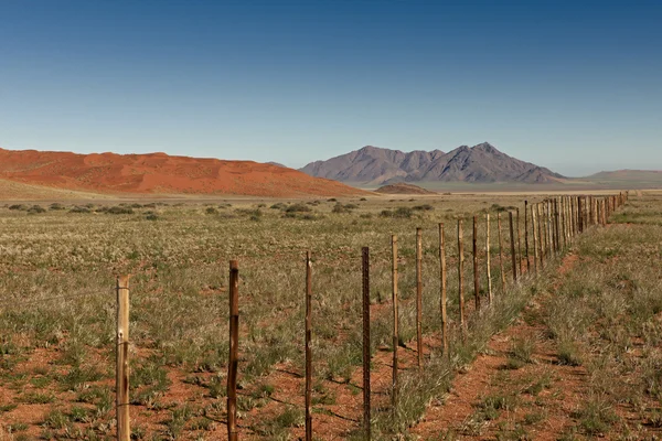 Ατελείωτες φράκτη στο τοπίο της ερήμου — Φωτογραφία Αρχείου