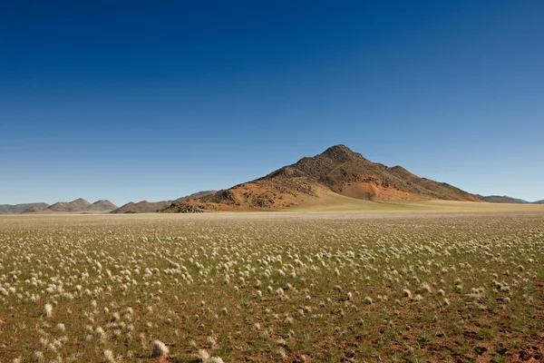 Paysage aride dans le désert de pierre — Photo