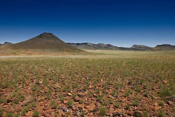 Paisagem árida no deserto de pedra — Fotografia de Stock