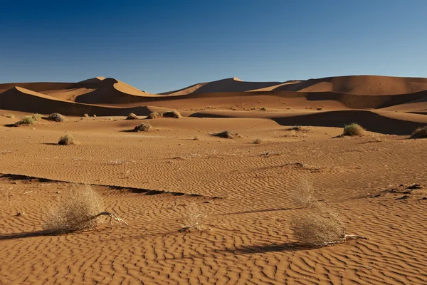 Zandduinen in woestijn landschap van namib — Stockfoto