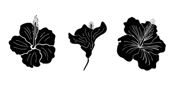 Fiore Hibiscus silhouette set. Isoalted su sfondo bianco. — Vettoriale Stock