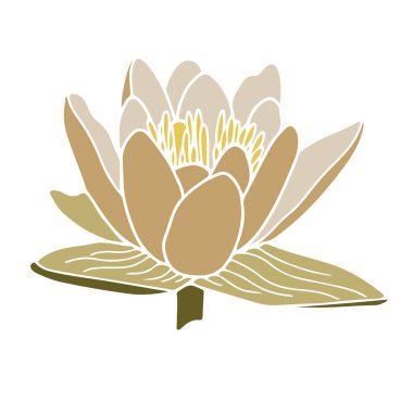 Nilüfer çiçeği silueti çizimi. Beyaz arkaplanda izolasyon.