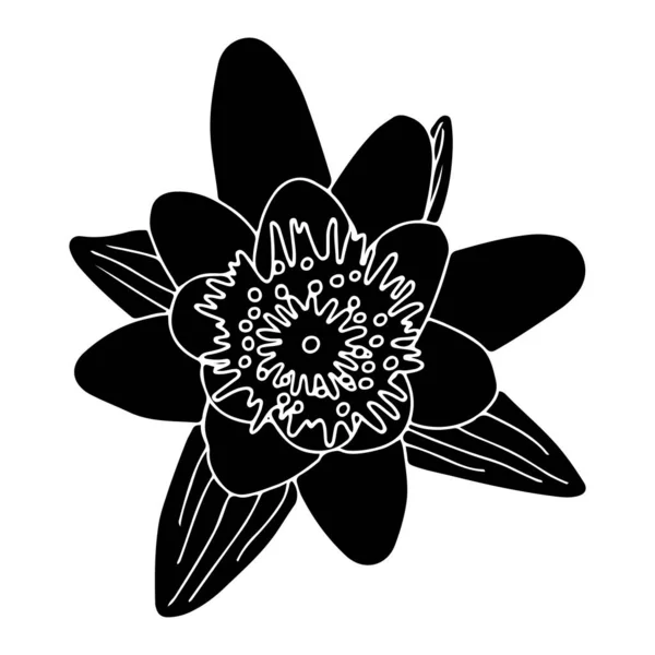 Lilie Tattooストックベクター ロイヤリティフリーlilie Tattooイラスト ページ 11 Depositphotos