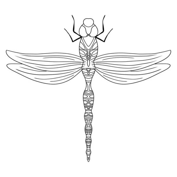 Vector outline dragonfly illustration isolated on white background. Lineart. — Vector de stock