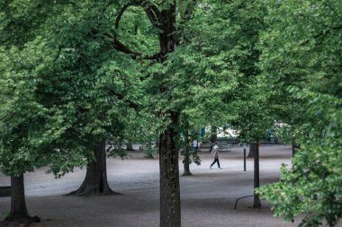 beautiful green trees in public park, natural garden of Lindenhof hill, a moraine hill and a public square in the historic center of Zurich, Switzerland.