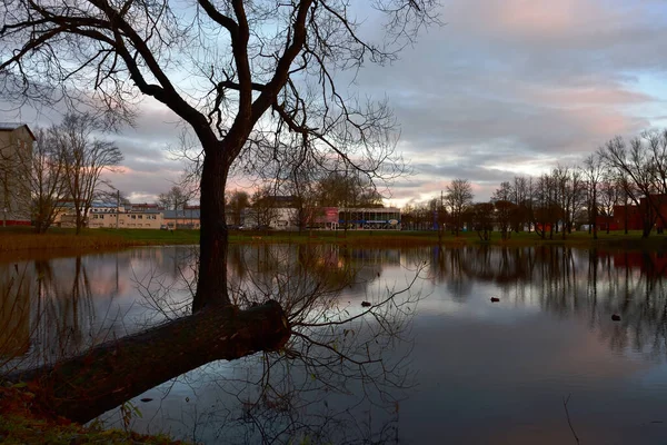 Narva, Estonya - 21 Kasım 2021. Narva şehrinde, Voidu ve Paul Kerese caddelerinin kesiştiği yerde, sonbaharın sonlarında gün batımından hemen önce bir gölet..