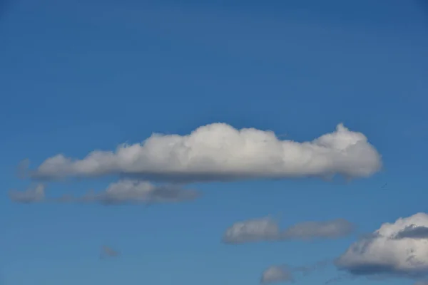 青い空に雲が小さく V字型の鳥の群れがほとんど見えない軽いふわふわの積雲 — ストック写真