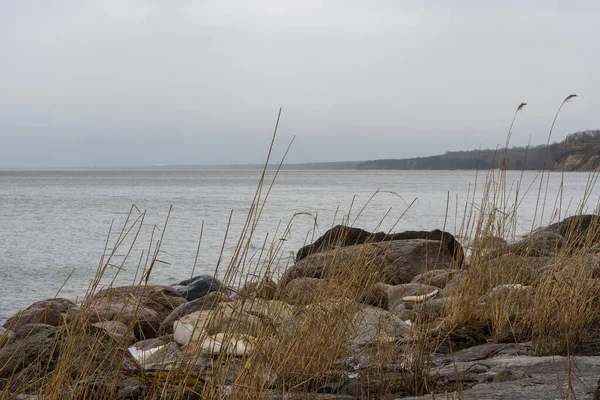 Large Granite Stones Tall Sparse Yellow Grass Beach Baltic Sea — Fotografia de Stock