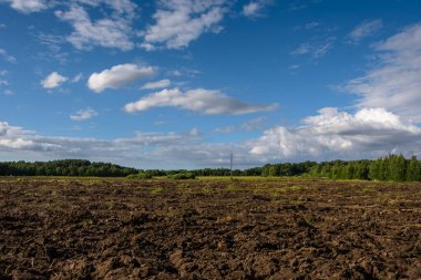 Güneşli bir yaz akşamında, beyaz bulutlu mavi bir gökyüzünün altında, bir ormanın arka planına ve saman balyalarıyla dolu bir çayıra sürtünmüş bir kırsal alan..