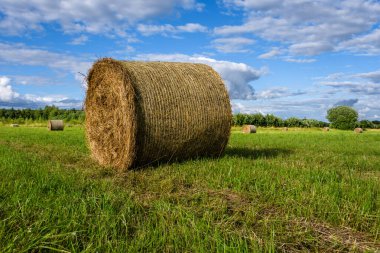 Close-up of a round bale of hay in a small meadow surrounded by deciduous trees in direct evening sunlight under a blue sky with clouds.