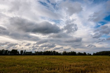 Bulutlu bir gökyüzünde, farklı tipte ve şekillerde bulutlar, tarımsal bir alanda biçilmiş tahıl ekinleriyle inanılmaz güzel bir desen oluştu..