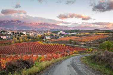 La Rioja, İspanya 'daki ünlü şaraphanenin kırsal manzarası