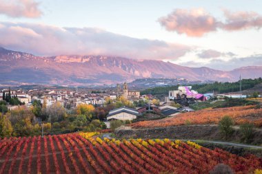 La Rioja, İspanya 'daki ünlü şaraphanenin kırsal manzarası