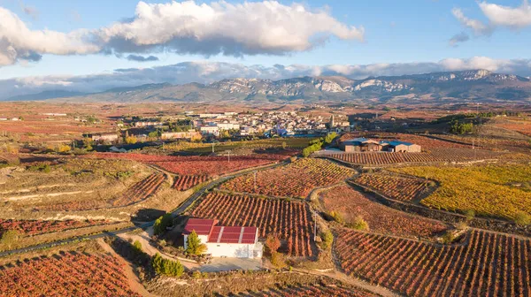 Θέα Εξοχή Του Διάσημου Οινοποιείου Στην Rioja Ισπανία — Φωτογραφία Αρχείου