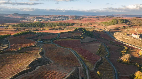 Θέα Εξοχή Του Διάσημου Οινοποιείου Στην Rioja Ισπανία — Φωτογραφία Αρχείου
