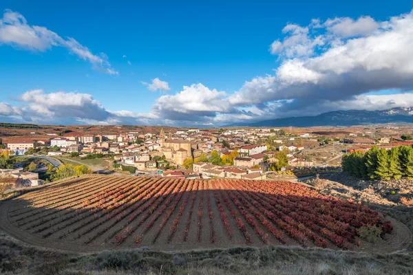 Höst Landskap Vingårdar Fält Rioja Spanien — Stockfoto